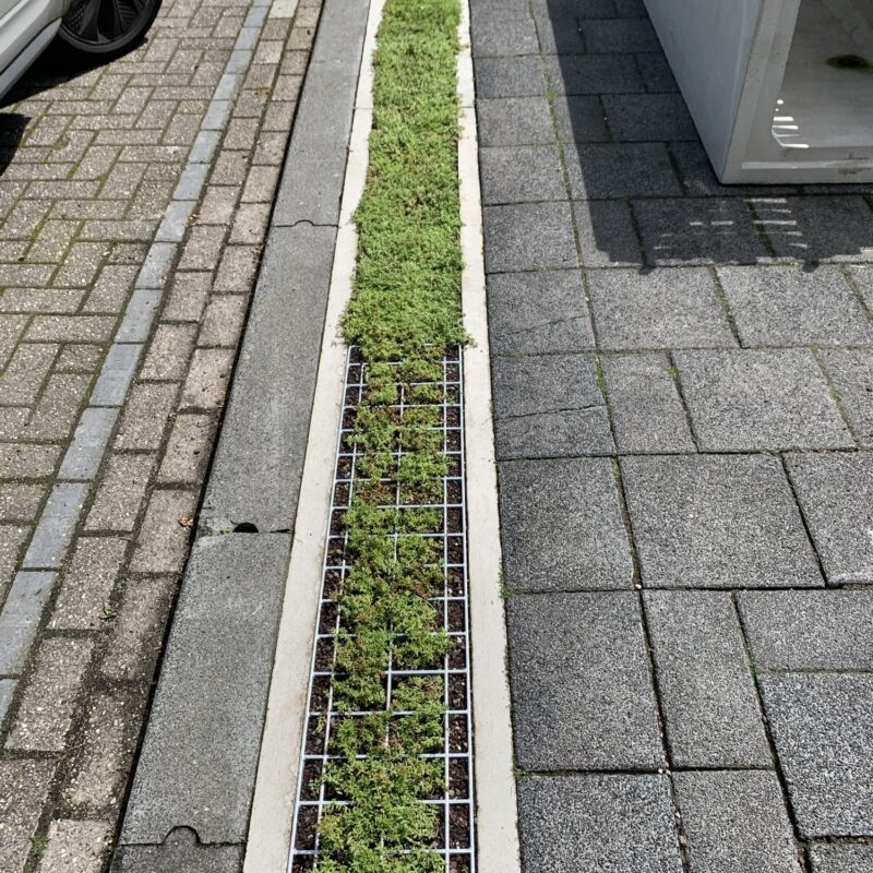 AQW goot COOL CITY DRAIN 2020